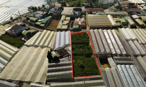 BÁN RẺ ĐẤT ĐÀ LẠT SỔ RIÊNG XÂY DỰNG, ĐẤT Ở ĐÔ THỊ, NỞ HẬU, 643M2 9TỈ, LH 0888.113.882