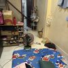 Nhà Bình Tân – nhà mới 3 tầng, giá chỉ 2.9 tỷ, vị trí đẹp An Lạc